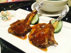 -新兴·金羊座·粤菜点心(乐峰店)