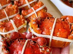 -乡乐园蟹庄·阳澄湖农家乐