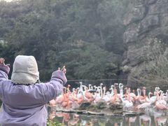 -宁波野生动物园