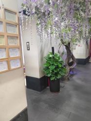-盘子女人坊古装写真摄影(深圳店)