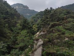 -沂蒙山旅游区云蒙景区(蒙山国家森林公园)