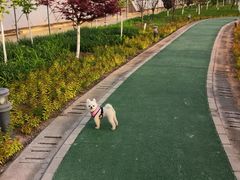 -北京热带雨林风情园酒店-停车场