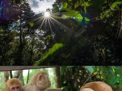 -普洱太阳河森林公园