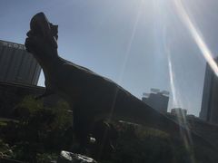 -陕西自然博物馆