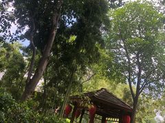 -西安国际创新人才交流中心•药浴温泉