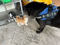 -小六农家乐(崇明西沙湿地店)