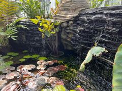 -国家植物园南园