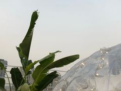 -天空花园餐吧·生日·团建(南山店)