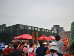 -三旗百汇商品城