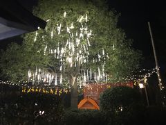 -天目湖涵田半山温泉