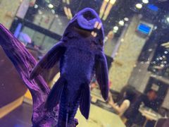 -新辉港式茶餐厅(北栅店)