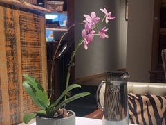 -一棵树·意大利西餐厅One Tree(新城店)