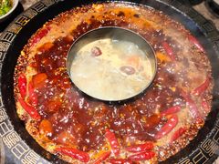 南北鸳鸯锅-重庆渝达老火锅(春熙路店)