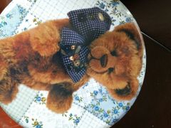 android_upload_pic-珍妮曲奇聪明小熊(尖沙咀店)