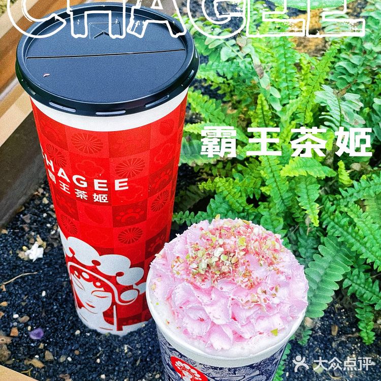 原叶鲜奶茶,喝出真茶味🍵