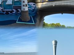 -上海吴淞炮台湾国家湿地公园