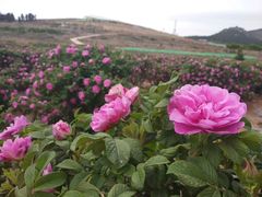 -艾山风景名胜区