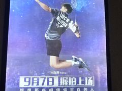 -奥斯卡升龙国际影城(RealD Cinema)