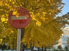 -锦江富园大酒店-游泳馆