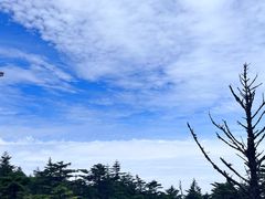 -峨眉山风景名胜区