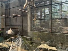 -昆明动物园