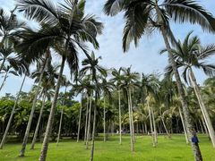 -中国科学院西双版纳热带植物园