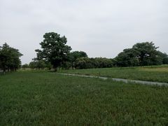 -汉长安城未央宫国家考古遗址公园