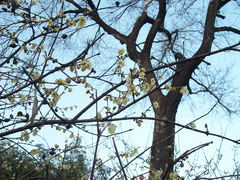 -荆川公园