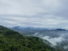 -呀诺达热带雨林