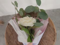 -三圣花乡旅游区