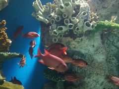 -福州罗源湾海洋世界旅游区