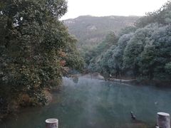-80红枣鸡腊排骨(总店)