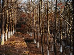 -白马涧龙池景区