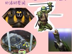 -清真马家锅烙