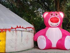 -十亩森林