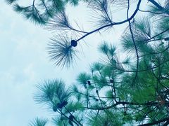 -鹦鹉洲湿地公园
