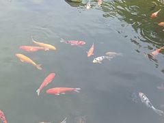 -凤凰山公园-龙王古庙