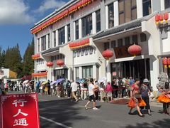 -龙华素斋(龙华路店)