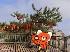 -六里坪国家森林公园