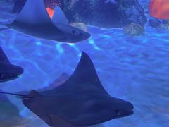 -沈阳海洋探索中心