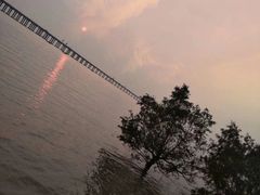 -宝安西湾红树林湿地公园