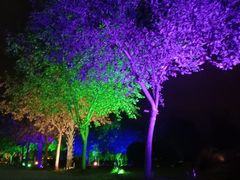 -维斯特·夜烤牛肋条任吃