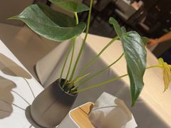 -眉州东坡(远洋未来广场店)