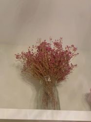 -香秀空间科技抗衰·美容中心