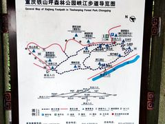 -铁山坪森林公园