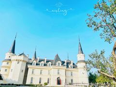 -北京张裕爱斐堡酒庄