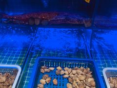 -北李妈妈菜·海肠捞饭(高新万达店)