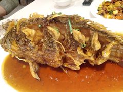 老济南糖醋鲤鱼-金春禧·鲁菜海鲜(延吉路万达店)