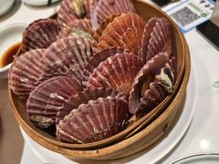 -山海菜馆·海肠捞饭·青岛菜(栈桥店)