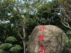 -野狸岛